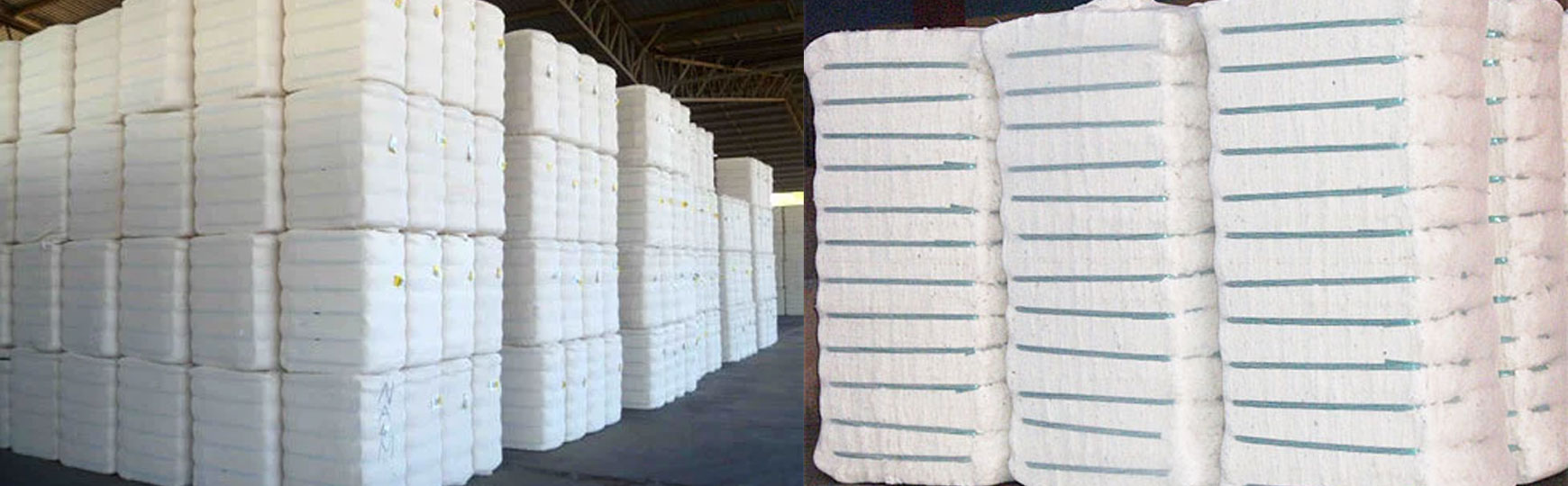 Raw Cotton